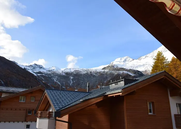 Flamingo * 萨斯费