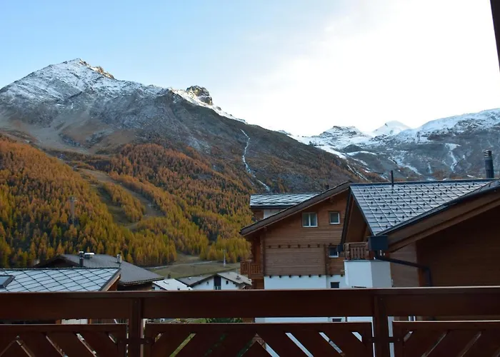 Flamingo * 萨斯费